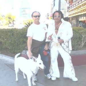 Meet your Posher, Herbert